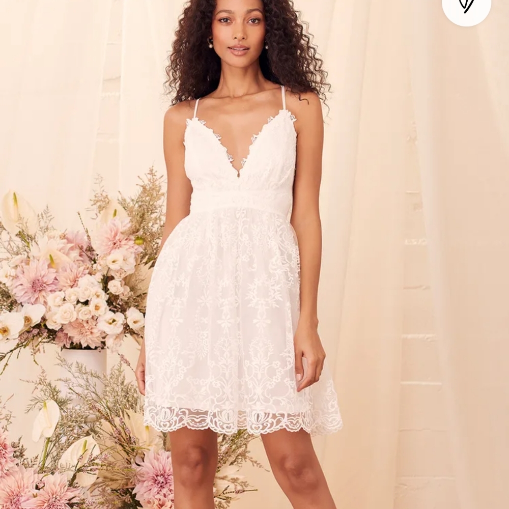 NWT Lace Skater Dress